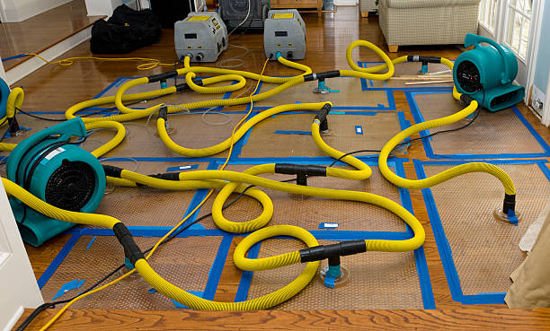 Professional Water Damage Restoration technician working in Columbiaville, MI
