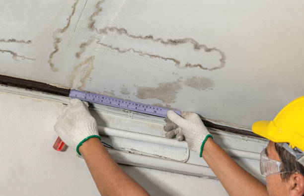 Affordable Water Damage Repair solutions in Columbiaville, MI